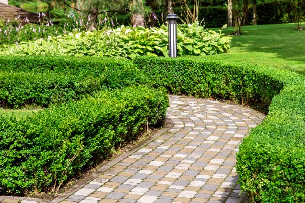 Paved Landscaping in Vancouver